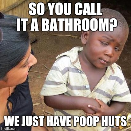 Third World Skeptical Kid Meme | SO YOU CALL IT A BATHROOM? WE JUST HAVE POOP HUTS | image tagged in memes,third world skeptical kid | made w/ Imgflip meme maker