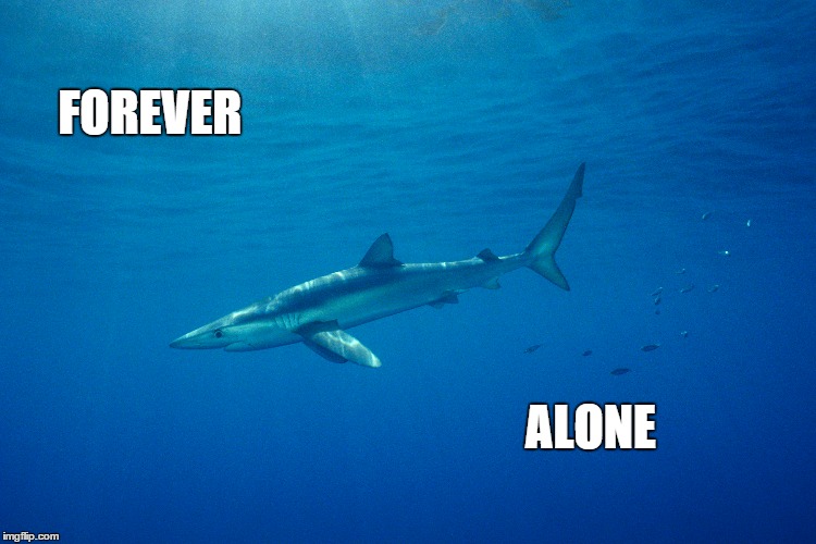 It gets lonely out there | FOREVER ALONE | image tagged in forever alone | made w/ Imgflip meme maker