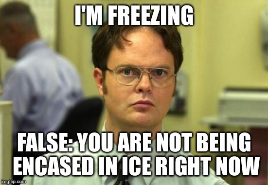 Dwight Schrute Meme | I'M FREEZING FALSE: YOU ARE NOT BEING ENCASED IN ICE RIGHT NOW | image tagged in memes,dwight schrute | made w/ Imgflip meme maker