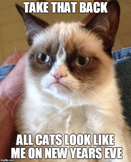 Grumpy Cat Meme | TAKE THAT BACK ALL CATS LOOK LIKE ME ON NEW YEARS EVE | image tagged in memes,grumpy cat | made w/ Imgflip meme maker