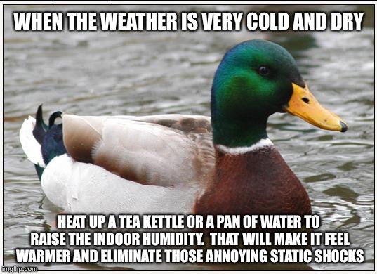 Actual Advice Mallard Meme | WHEN THE WEATHER IS VERY COLD AND DRY HEAT UP A TEA KETTLE OR A PAN OF WATER TO RAISE THE INDOOR HUMIDITY.  THAT WILL MAKE IT FEEL WARMER AN | image tagged in memes,actual advice mallard | made w/ Imgflip meme maker