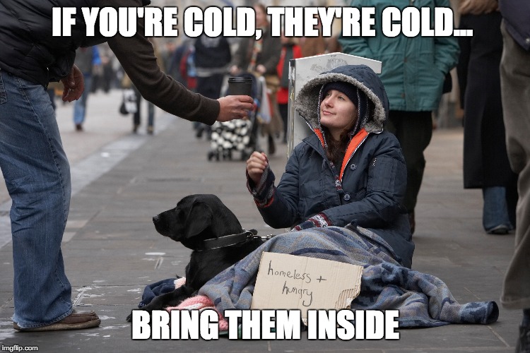 IF YOU'RE COLD, THEY'RE COLD... BRING THEM INSIDE | made w/ Imgflip meme maker