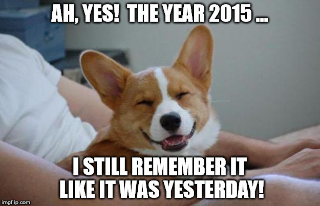 "I remember the year 2015 like it was yesterday."  (posted 1-1-2016) | AH, YES!  THE YEAR 2015 ... I STILL REMEMBER IT LIKE IT WAS YESTERDAY! | image tagged in dog,2015,remember,remember like yesterday,corgi,year 2015 | made w/ Imgflip meme maker