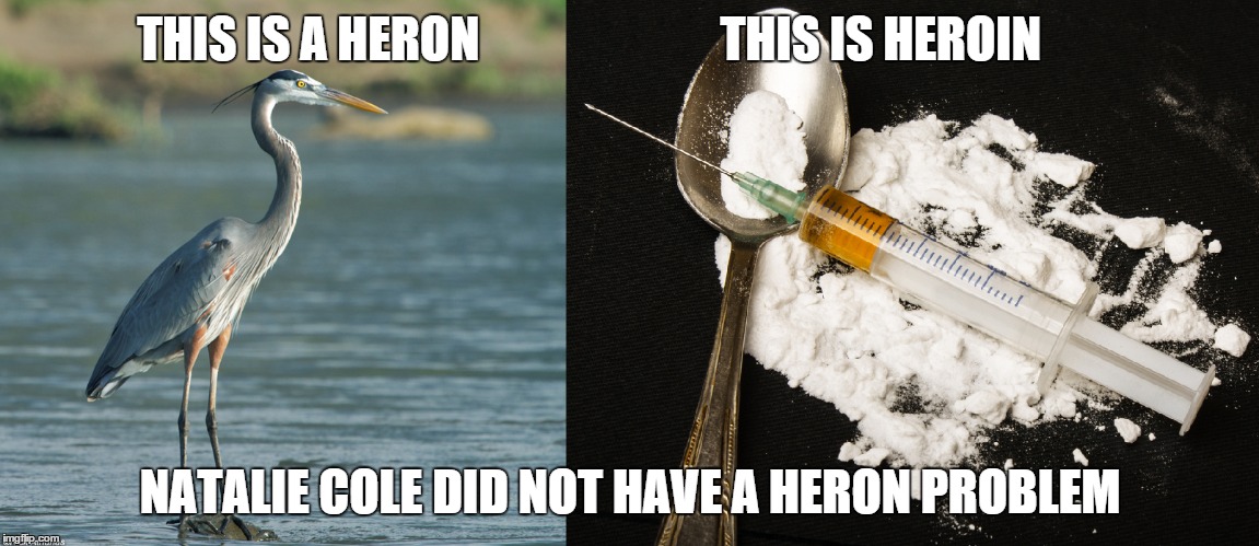 learn to speak! | THIS IS A HERON                         THIS IS HEROIN NATALIE COLE DID NOT HAVE A HERON PROBLEM | image tagged in natalie cole,heron,heroin | made w/ Imgflip meme maker