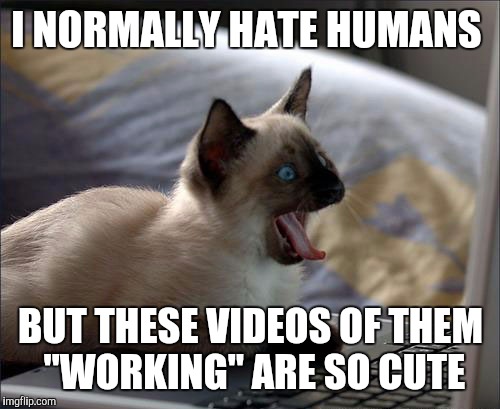 I NORMALLY HATE HUMANS BUT THESE VIDEOS OF THEM "WORKING" ARE SO CUTE | made w/ Imgflip meme maker