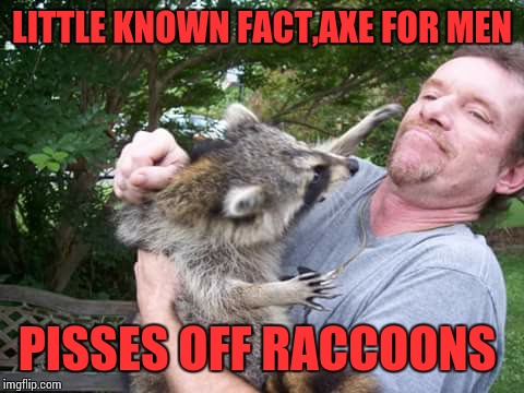 Jungle Jim | LITTLE KNOWN FACT,AXE FOR MEN PISSES OFF RACCOONS | image tagged in jungle jim | made w/ Imgflip meme maker