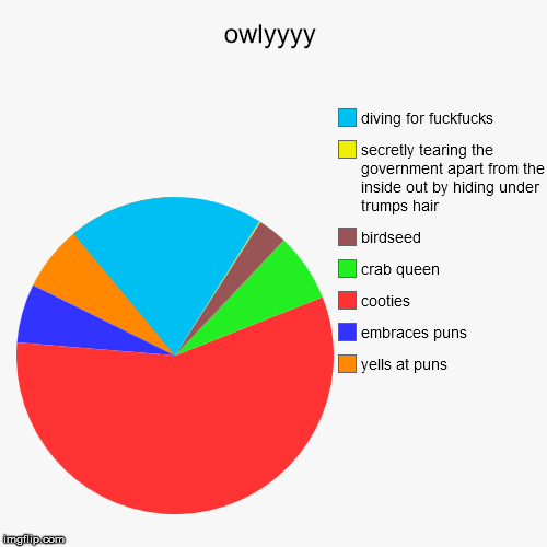 owlyyyy | yells at puns, embraces puns, cooties, crab queen, birdseed, secretly tearing the government apart from the inside out by hiding u | image tagged in funny,pie charts | made w/ Imgflip chart maker