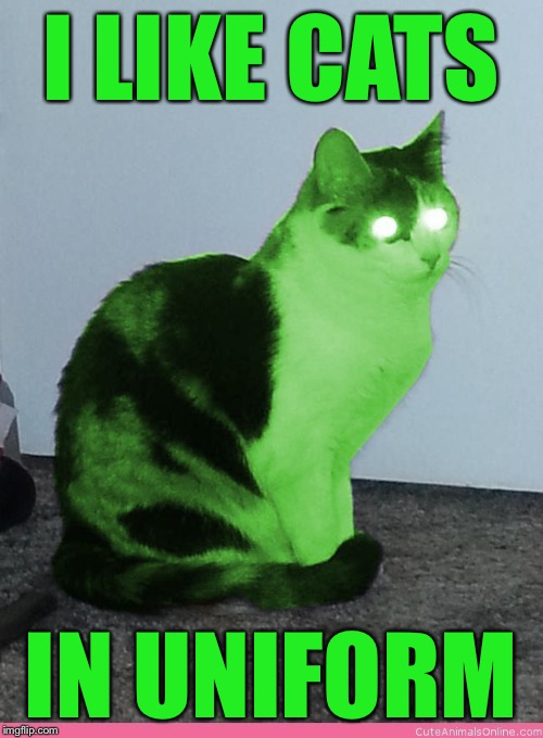 Hypno Raycat | I LIKE CATS IN UNIFORM | image tagged in hypno raycat | made w/ Imgflip meme maker