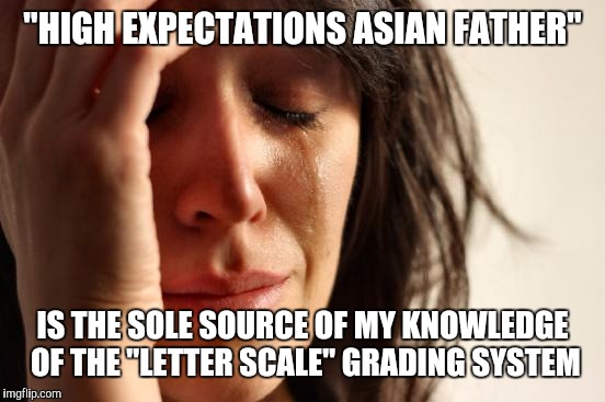 First World Problems Meme | "HIGH EXPECTATIONS ASIAN FATHER" IS THE SOLE SOURCE OF MY KNOWLEDGE OF THE "LETTER SCALE" GRADING SYSTEM | image tagged in memes,first world problems | made w/ Imgflip meme maker