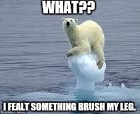 What lies beneath | WHAT?? I FEALT SOMETHING BRUSH MY LEG. | image tagged in memes | made w/ Imgflip meme maker