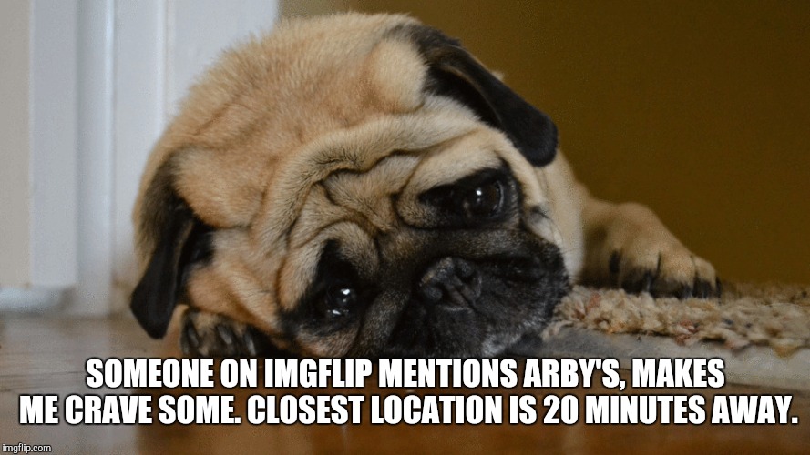 SOMEONE ON IMGFLIP MENTIONS ARBY'S, MAKES ME CRAVE SOME. CLOSEST LOCATION IS 20 MINUTES AWAY. | made w/ Imgflip meme maker