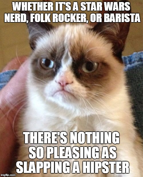 Grumpy Cat Meme | WHETHER IT'S A STAR WARS NERD, FOLK ROCKER, OR BARISTA THERE'S NOTHING SO PLEASING AS SLAPPING A HIPSTER | image tagged in memes,grumpy cat | made w/ Imgflip meme maker