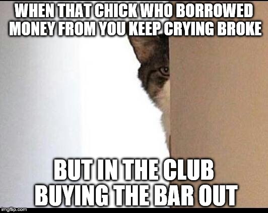 WHEN THAT CHICK WHO BORROWED MONEY FROM YOU KEEP CRYING BROKE BUT IN THE CLUB BUYING THE BAR OUT | image tagged in money money,in the club,creflo dollar show me the money | made w/ Imgflip meme maker