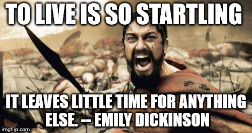 Sparta Leonidas Meme | TO LIVE IS SO STARTLING IT LEAVES LITTLE TIME FOR ANYTHING ELSE. -- EMILY DICKINSON | image tagged in memes,sparta leonidas | made w/ Imgflip meme maker