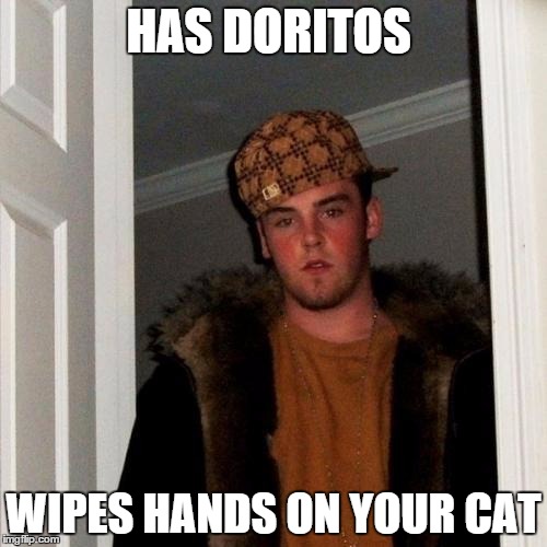 Scumbag Steve | HAS DORITOS WIPES HANDS ON YOUR CAT | image tagged in memes,scumbag steve | made w/ Imgflip meme maker
