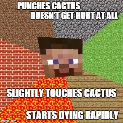 can't say my fellow minecrafters would disagree... | PUNCHES CACTUS                                DOESN'T GET HURT AT ALL SLIGHTLY TOUCHES CACTUS                                        STARTS  | image tagged in minecraft guy,steve,cactus,minecraft,logic | made w/ Imgflip meme maker