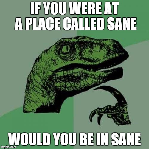 Philosoraptor | IF YOU WERE AT A PLACE CALLED SANE WOULD YOU BE IN SANE | image tagged in memes,philosoraptor | made w/ Imgflip meme maker