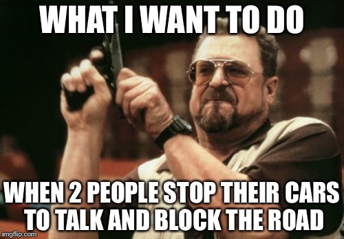 Am I The Only One Around Here Meme | WHAT I WANT TO DO WHEN 2 PEOPLE STOP THEIR CARS TO TALK AND BLOCK THE ROAD | image tagged in memes,am i the only one around here | made w/ Imgflip meme maker