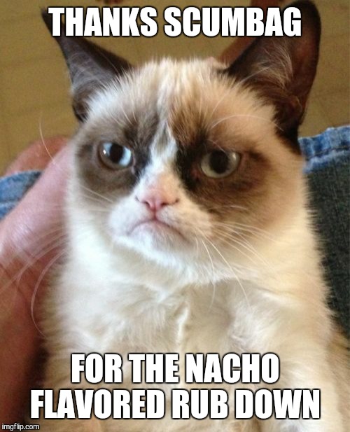 Grumpy Cat Meme | THANKS SCUMBAG FOR THE NACHO FLAVORED RUB DOWN | image tagged in memes,grumpy cat | made w/ Imgflip meme maker