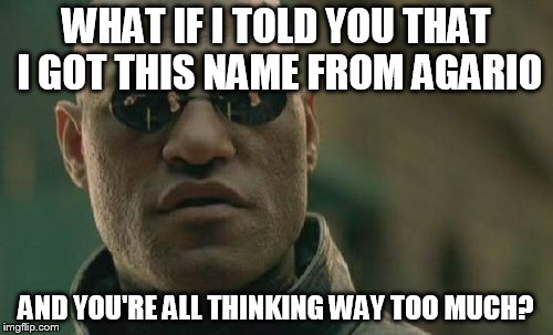 Matrix Morpheus Meme | WHAT IF I TOLD YOU THAT I GOT THIS NAME FROM AGARIO AND YOU'RE ALL THINKING WAY TOO MUCH? | image tagged in memes,matrix morpheus | made w/ Imgflip meme maker