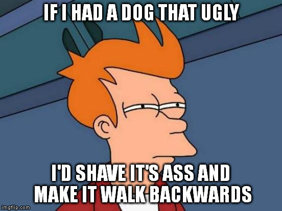 Futurama Fry Meme | IF I HAD A DOG THAT UGLY I'D SHAVE IT'S ASS AND MAKE IT WALK BACKWARDS | image tagged in memes,futurama fry | made w/ Imgflip meme maker