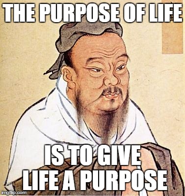 I actually solved the problem!!! | THE PURPOSE OF LIFE IS TO GIVE LIFE A PURPOSE | image tagged in confucius | made w/ Imgflip meme maker