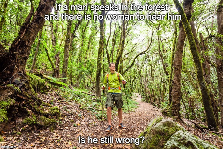 solitude is good for the soul | If a man speaks in the forest and there is no woman to hear him Is he still wrong? | image tagged in lucky man | made w/ Imgflip meme maker