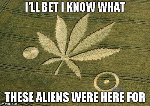 The idea of stoner aliens just cracks me up. | I'LL BET I KNOW WHAT THESE ALIENS WERE HERE FOR | image tagged in marijuana crop circle,memes,marijuana,funny,crop circles,aliens | made w/ Imgflip meme maker