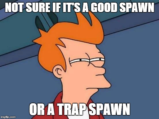 Futurama Fry Meme | NOT SURE IF IT'S A GOOD SPAWN OR A TRAP SPAWN | image tagged in memes,futurama fry | made w/ Imgflip meme maker