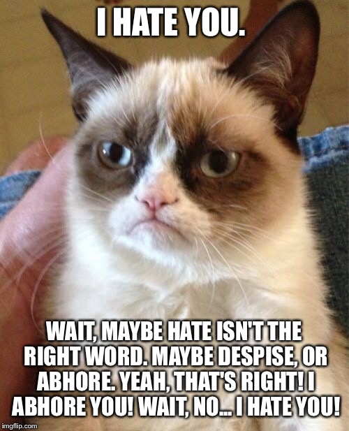 Grumpy Cat | I HATE YOU. WAIT, MAYBE HATE ISN'T THE RIGHT WORD. MAYBE DESPISE, OR ABHORE. YEAH, THAT'S RIGHT! I ABHORE YOU! WAIT, NO... I HATE YOU! | image tagged in memes,grumpy cat | made w/ Imgflip meme maker