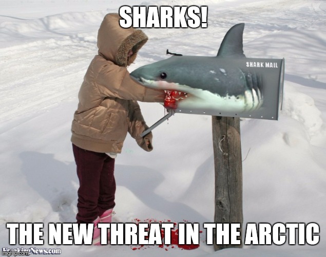 SHARKS! THE NEW THREAT IN THE ARCTIC | made w/ Imgflip meme maker