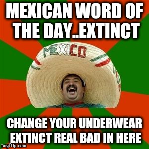 succesful mexican | MEXICAN WORD OF THE DAY..EXTINCT CHANGE YOUR UNDERWEAR EXTINCT REAL BAD IN HERE | image tagged in succesful mexican | made w/ Imgflip meme maker