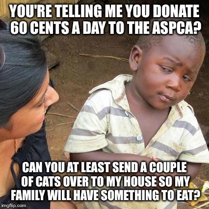 Third World Skeptical Kid | YOU'RE TELLING ME YOU DONATE 60 CENTS A DAY TO THE ASPCA? CAN YOU AT LEAST SEND A COUPLE OF CATS OVER TO MY HOUSE SO MY FAMILY WILL HAVE SOM | image tagged in memes,third world skeptical kid | made w/ Imgflip meme maker