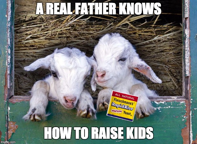 A REAL FATHER KNOWS HOW TO RAISE KIDS | image tagged in kids | made w/ Imgflip meme maker