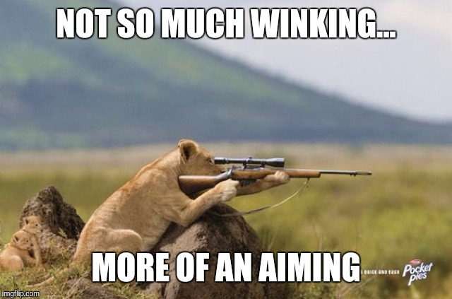 NOT SO MUCH WINKING... MORE OF AN AIMING | made w/ Imgflip meme maker