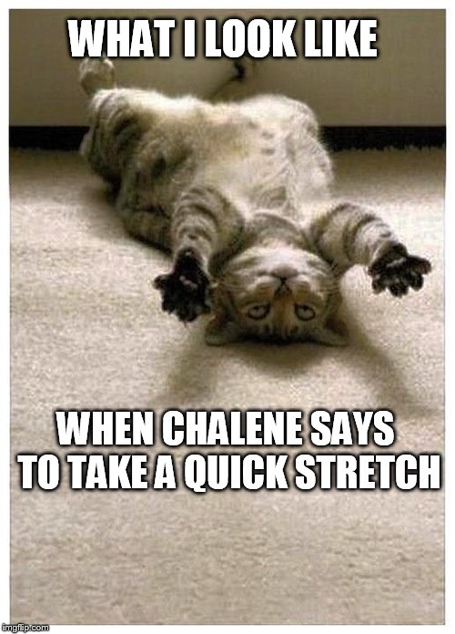 What doesn't kill you | WHAT I LOOK LIKE WHEN CHALENE SAYS TO TAKE A QUICK STRETCH | image tagged in exercise,chalene johnson,beachbody | made w/ Imgflip meme maker