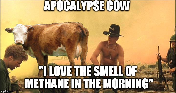 Coppola admitted he did a lot of re-takes and re-writes... | APOCALYPSE COW "I LOVE THE SMELL OF METHANE IN THE MORNING" | image tagged in memes,funny,animals,cow,apocalypse now | made w/ Imgflip meme maker