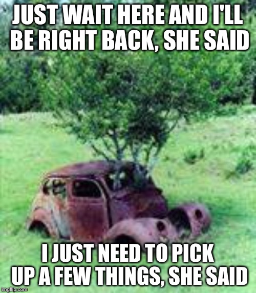 I'll be right back, she said | JUST WAIT HERE AND I'LL BE RIGHT BACK, SHE SAID I JUST NEED TO PICK UP A FEW THINGS, SHE SAID | image tagged in still waiting | made w/ Imgflip meme maker