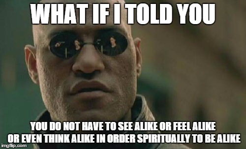 Matrix Morpheus | WHAT IF I TOLD YOU YOU DO NOT HAVE TO SEE ALIKE OR FEEL ALIKE OR EVEN THINK ALIKE IN ORDER SPIRITUALLY TO BE ALIKE | image tagged in memes,matrix morpheus | made w/ Imgflip meme maker