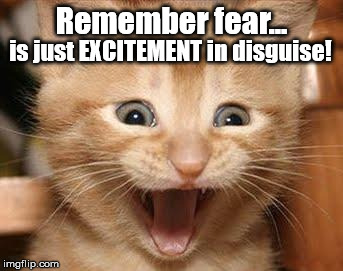 Excited Cat | Remember fear... is just EXCITEMENT in disguise! | image tagged in memes,excited cat | made w/ Imgflip meme maker