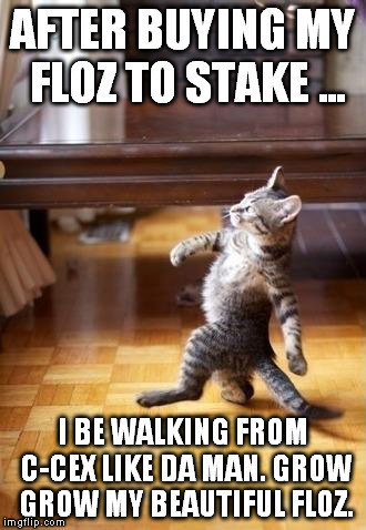 Cool Cat Stroll Meme | AFTER BUYING MY FLOZ TO STAKE ... I BE WALKING FROM C-CEX LIKE DA MAN. GROW GROW MY BEAUTIFUL FLOZ. | image tagged in memes,cool cat stroll | made w/ Imgflip meme maker