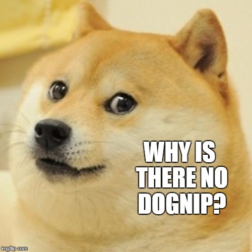 Doge Meme | WHY IS THERE NO DOGNIP? | image tagged in memes,doge | made w/ Imgflip meme maker