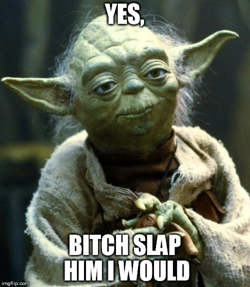 Star Wars Yoda Meme | YES, B**CH SLAP HIM I WOULD | image tagged in memes,star wars yoda | made w/ Imgflip meme maker