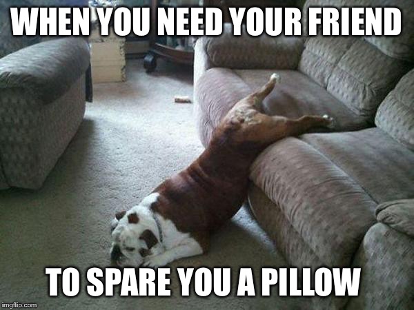 Lazy Dog | WHEN YOU NEED YOUR FRIEND TO SPARE YOU A PILLOW | image tagged in lazy dog | made w/ Imgflip meme maker