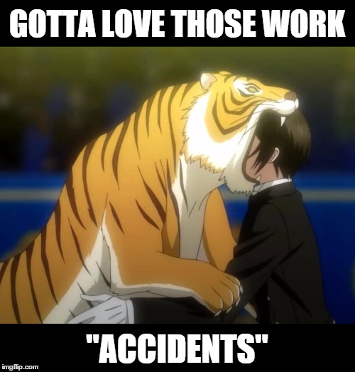 Black Butler Book of Circus Tiger | GOTTA LOVE THOSE WORK "ACCIDENTS" | image tagged in black butler book of circus tiger | made w/ Imgflip meme maker