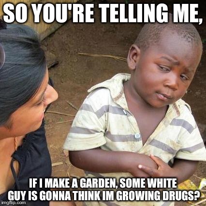 Third World Skeptical Kid Meme | SO YOU'RE TELLING ME, IF I MAKE A GARDEN, SOME WHITE GUY IS GONNA THINK IM GROWING DRUGS? | image tagged in memes,third world skeptical kid | made w/ Imgflip meme maker