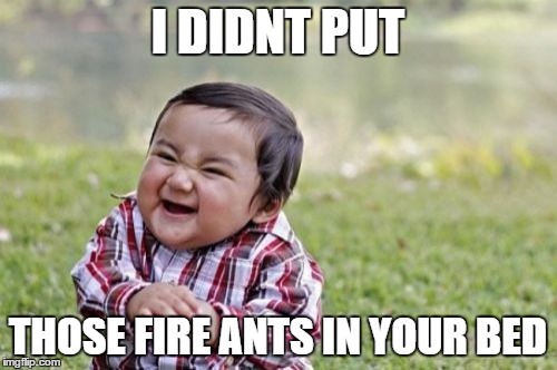 Evil Toddler | I DIDNT PUT THOSE FIRE ANTS IN YOUR BED | image tagged in memes,evil toddler | made w/ Imgflip meme maker