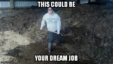 THIS COULD BE YOUR DREAM JOB | made w/ Imgflip meme maker