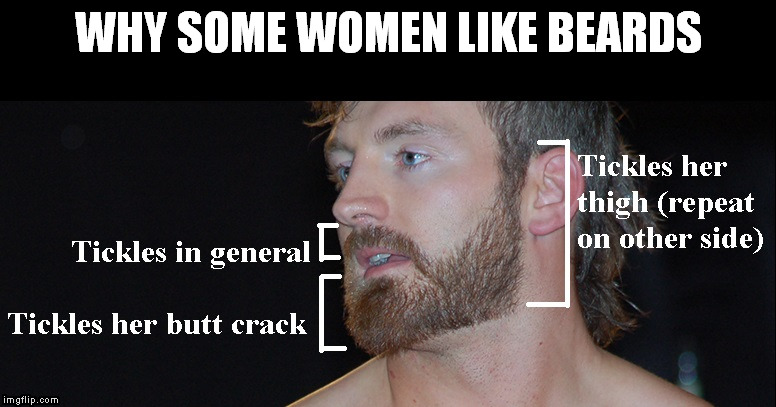 why some women like beards | WHY SOME WOMEN LIKE BEARDS | image tagged in beard,beards,women | made w/ Imgflip meme maker