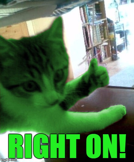 thumbs up RayCat | RIGHT ON! | image tagged in thumbs up raycat | made w/ Imgflip meme maker